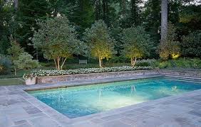 Swimming Pools Backyard Rectangle Pool