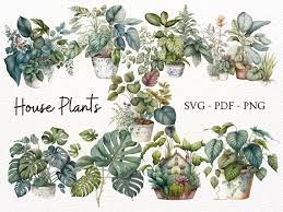 House Plants Clip Art In Svg Pdf And