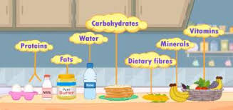 Balanced Diet Chart For School Project Health And Fitness