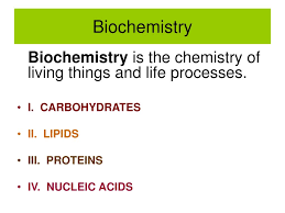 biochemistry powerpoint presentation