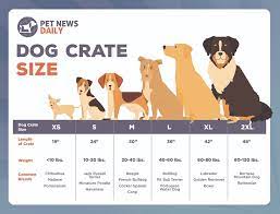 dog crate size chart by breed size