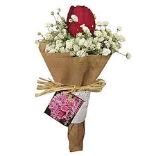 This year go beyond flowers and candy and give the special woman in your life a unique gift made just for her. Valentines Day Gifts To Malaysia V Day Gifts In Malaysia Ferns N Petals