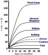 Standard Poodle Weight Chart By Age Www Bedowntowndaytona Com