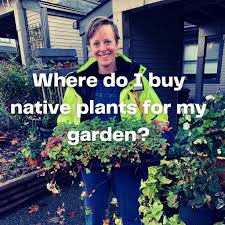 Where To Buy Native Plants Iscmv