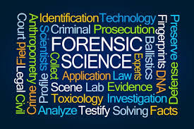 Forensic science Stock Photos, Royalty Free Forensic science Images |  Depositphotos