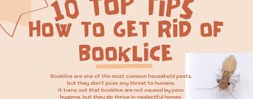 how to get rid of booklice bon accord