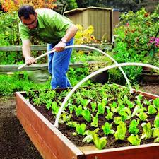 Raised Garden Bed Easy Diy Steps To