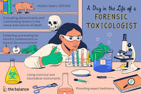 Forensic Toxicologist Job Description Salary Skills More