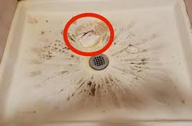 ed bathtub floor repair leaking