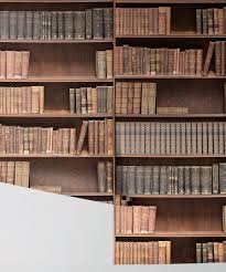 bookshelf wallpaper realistic library