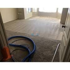 bloom carpet cleaning