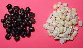 black gram urad beans nutrition facts