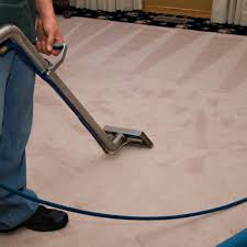 1 for carpet cleaning in ta since 1920