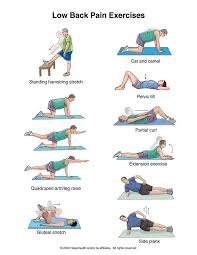 Lower Back Pain Exercises Fitness Ejercicios Espalda