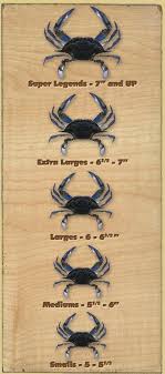 Blue Crab Sizing Chart Maryland Crabs Maryland Blue Crab