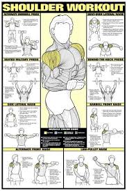 Item Chart Series Ii Shoulder Gym Work Weight Training