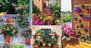 Balcony Garden Design