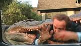 James F. Clemenger Alligator's Paradise Movie