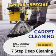blue elephant carpet cleaning carpet