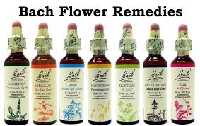 The 7 Bach Flower Groups The Original Bach Flower Remedies