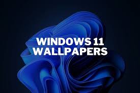 A windows 11 build has just leaked online, and we've been able to grab the new desktop wallpapers. Download The New Windows 11 Wallpapers Right Now Beebom