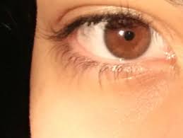 Olho castanho(Mey Okami) | Olhos castanhos, Olhos castanhos escuros,  Castanho escuro