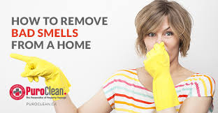 How To Remove Bad Smells From A Home