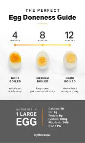 the egg lover s guide to perfect yolks