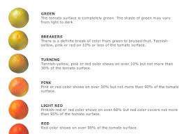 Tomato Colour Chart Usda Tomato Sizing Rings Color Charts