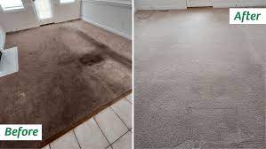 raleigh carpet cleaning chem dry of
