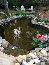 42 Fish Pond Garden Designs With Water