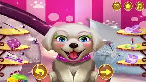 cute dog makeup garden pet salon