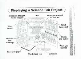 023 Best Ideas Of 4th Grade Science Project Research Paper