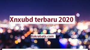 Latest apk / app / game. Xnview Indonesia 2019 Apk Archives Bakrabata Com