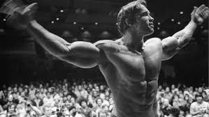 bodybuilding, Bodybuilder, Arnold Schwarzenegger HD Wallpapers / Desktop  and Mobile Images & Photos