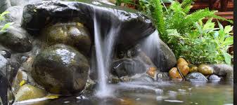 water features from beginner to