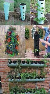 top 20 low cost diy gardening projects