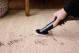 how to clean a sisal rug with dog