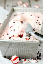 homemade peppermint chocolate chip ice