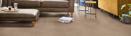 carpet ranges thomas witter