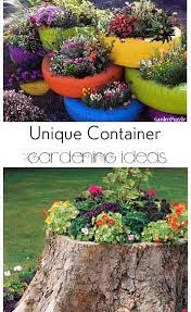 10 Container Gardening Ideas Bless My