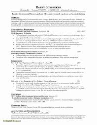 Cover Letter Examples New Zealand Style New Internet Technician