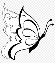 simple drawing of erfly clipart