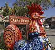 why-are-there-so-many-roosters-in-little-havana