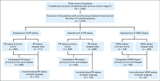 Flow Chart Of The Cohort With Assessment Of Estrogen