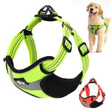 Details About Truelove Dog Harness No Pull Adjustable Widening Reflective Padded Vest All Size