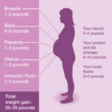 nutrition and weight gain in pregnancy