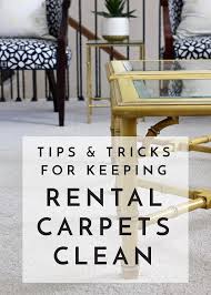 al carpets clean tips