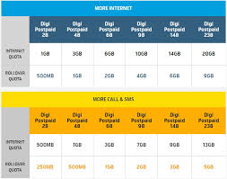 At the same time, the digi up plan also incorporated the digi postpaid 110 plan which provides customers with a total of 50gb internet data alongside unlimited calls and 1000 sms to all networks. Digi Business Plan Helpline Numbers