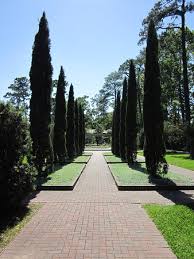 picture of mercer botanic gardens